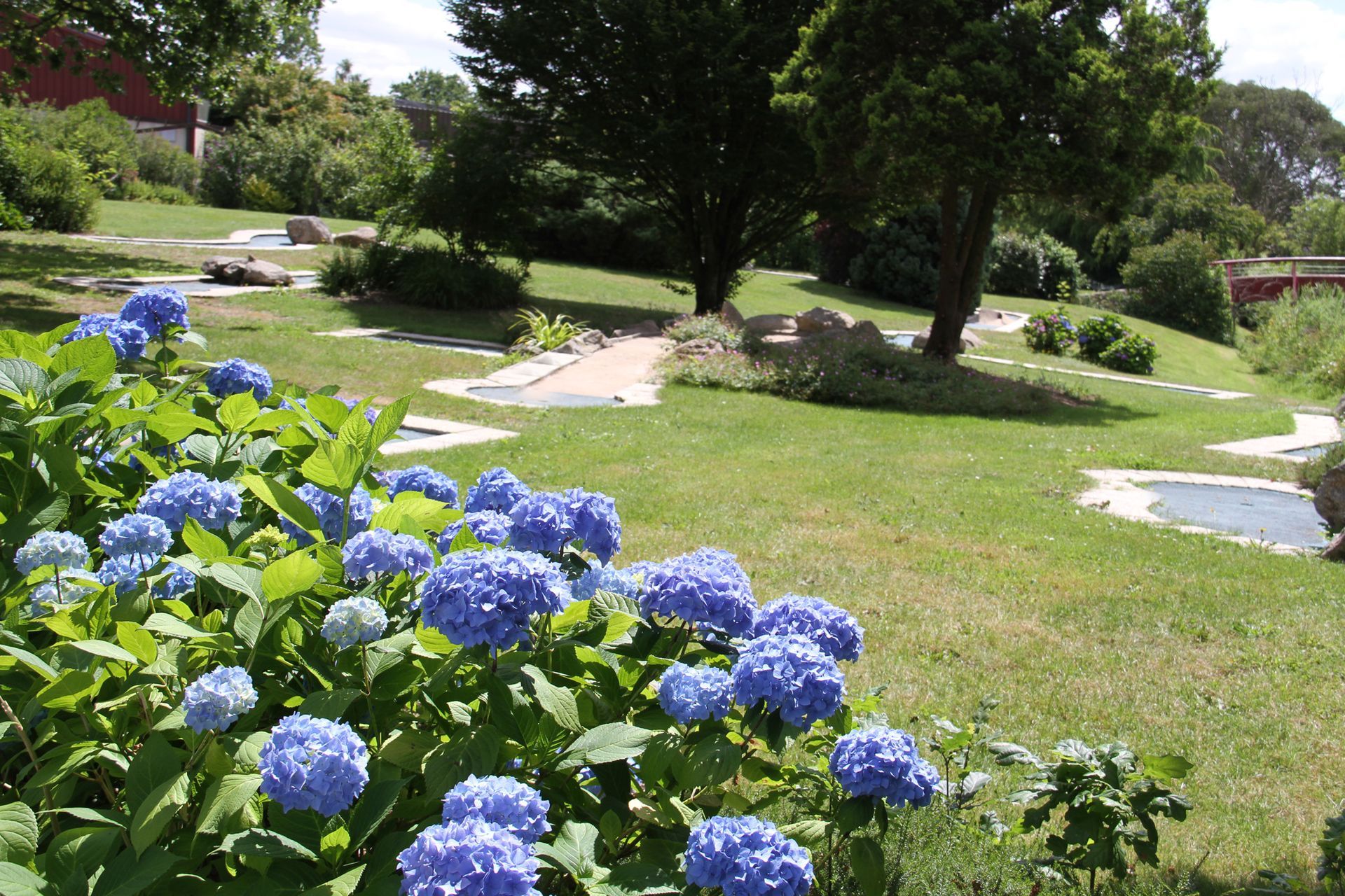 Parterre de fleurs avec des hydrangeas bleus dans un jardin.