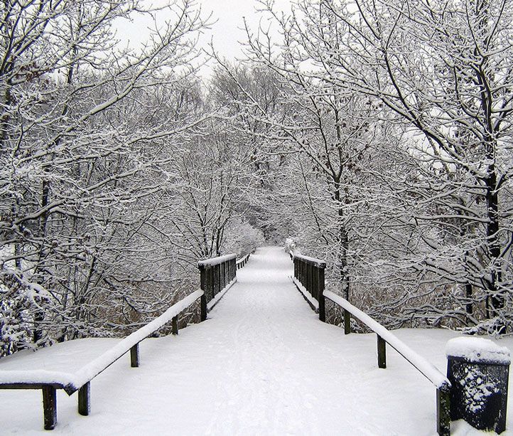 Paysage hivernal avec un pont enneigé entouré d'arbres couverts de neige.