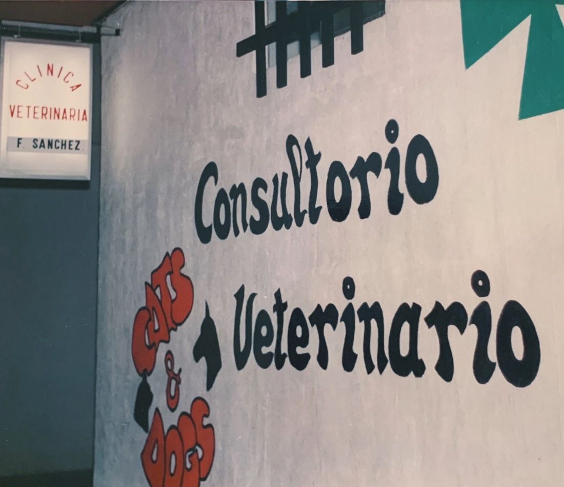 Un cartel de consultorio veterinario está pintado en una pared.