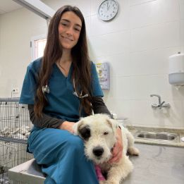 Una mujer que lleva una máscara sostiene un cachorro en sus brazos.