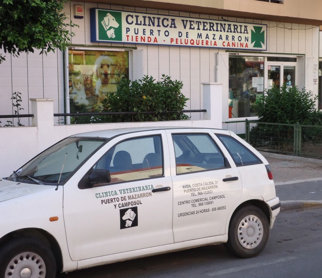 Un coche blanco aparcado frente a la clínica veterinaria.