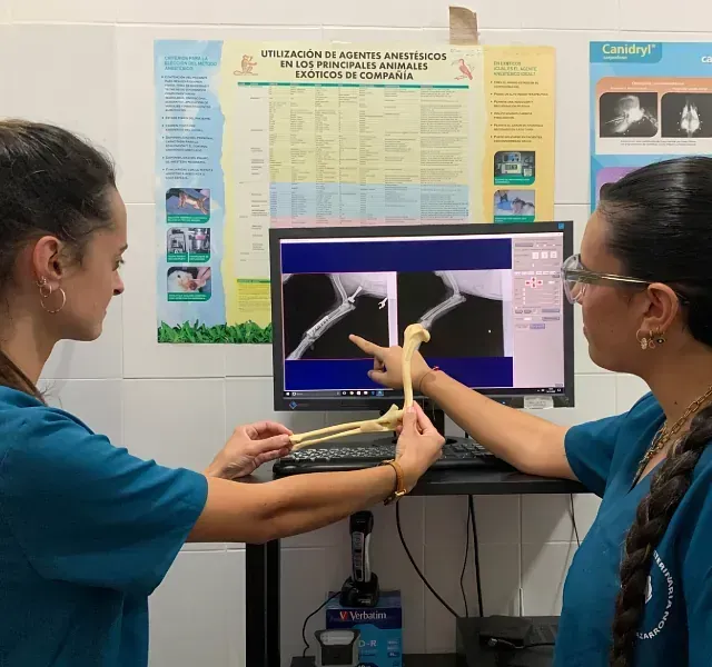 Dos mujeres con uniformes azules miran una pantalla de computadora