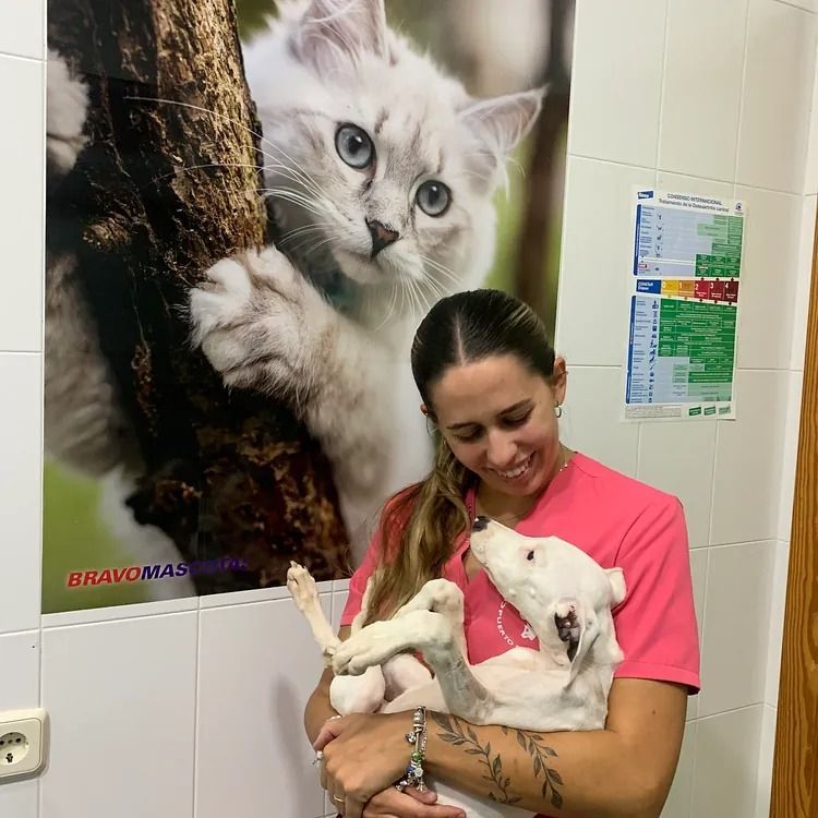 Una mujer sosteniendo un perro delante de un cartel de un gato.