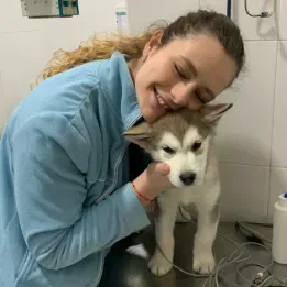 Una mujer está acariciando a un cachorro de husky en una mesa.