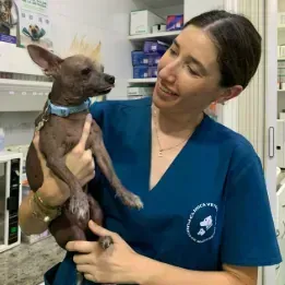 Una mujer con un uniforme azul sostiene un perro pequeño.