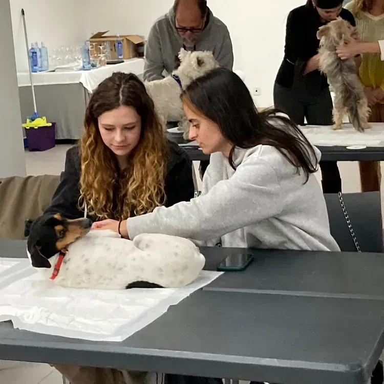 Dos mujeres están sentadas en una mesa con un perro encima.