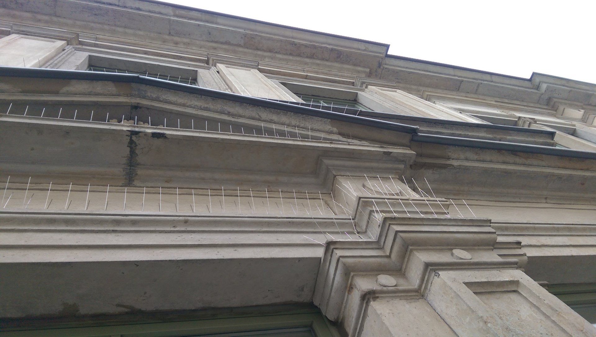 Schädlingsbekämpfer