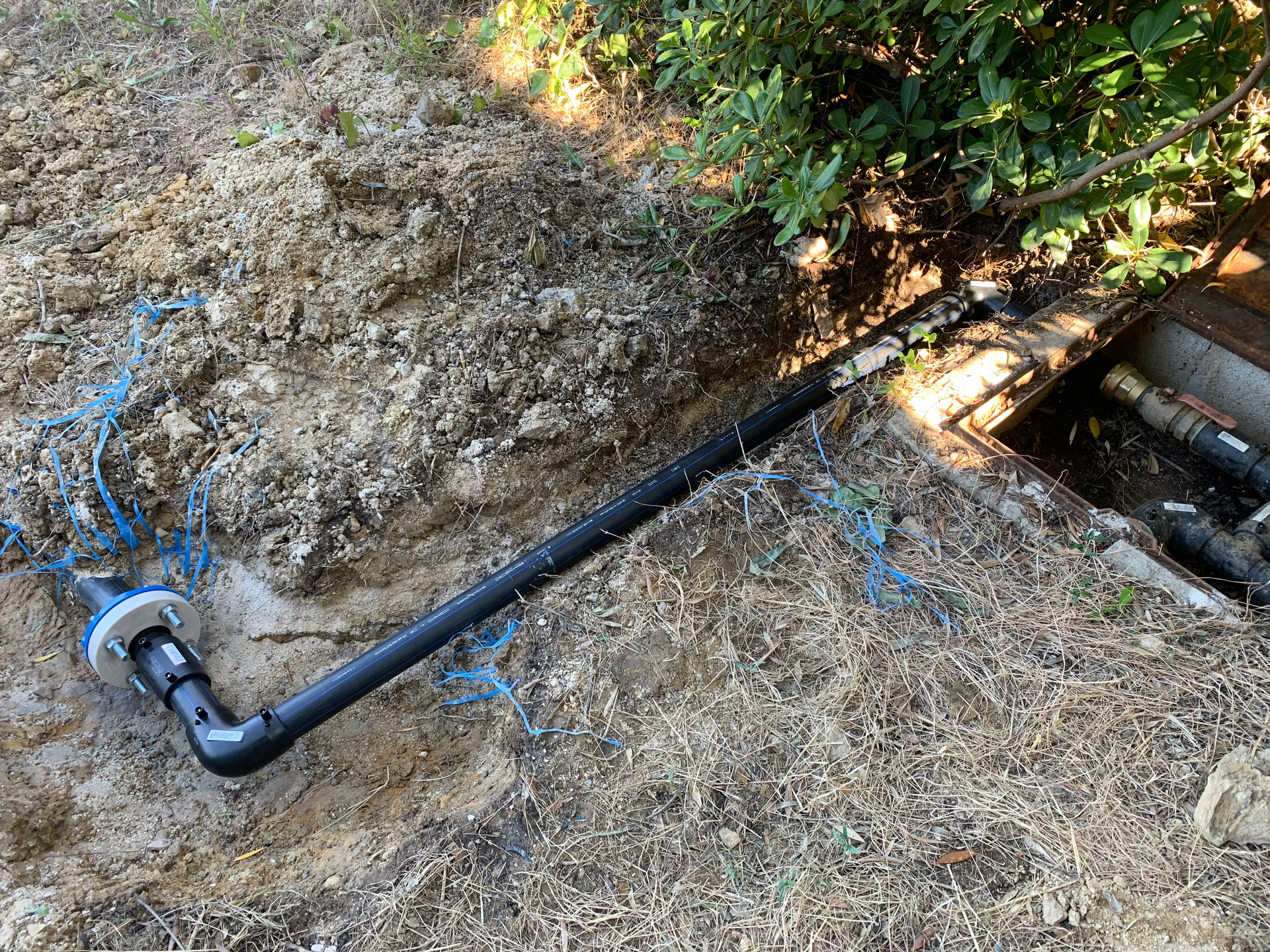 Un tuyau noir repose dans la terre à côté d'un buisson.