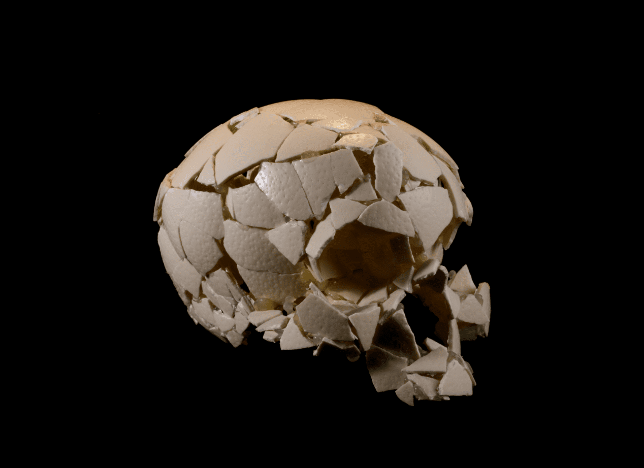 Christian Gonzenbach (*1975) Homo ab Ovo, 2008, Oeuf d’autruche et colle