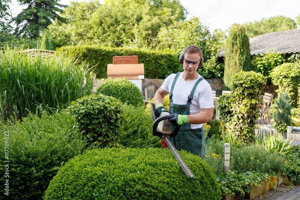 Ein Mann schneidet eine Hecke mit einer Heckenschere.