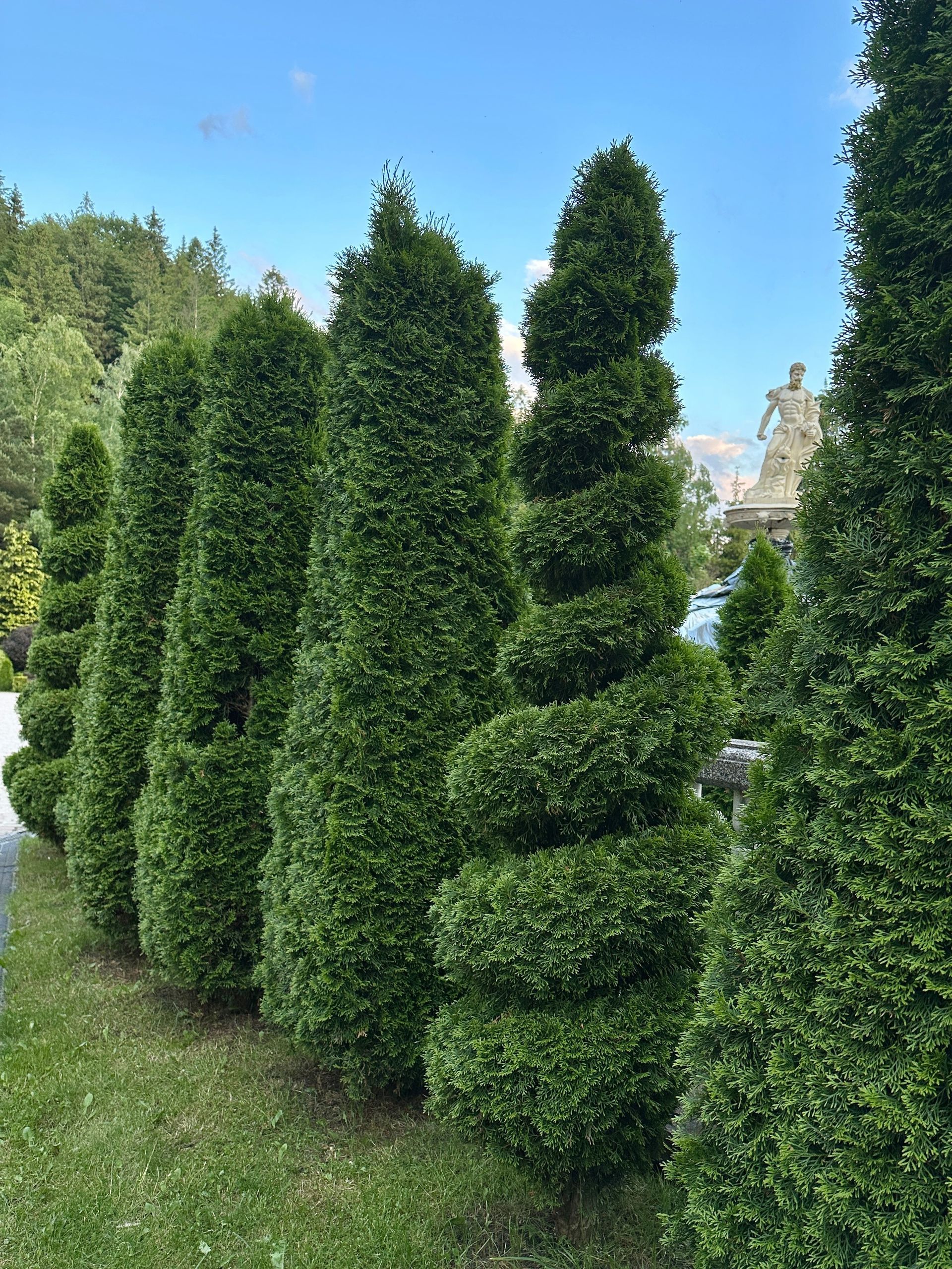 Ein Mann schneidet in einem Garten mit einer Heckenschere einen Busch.