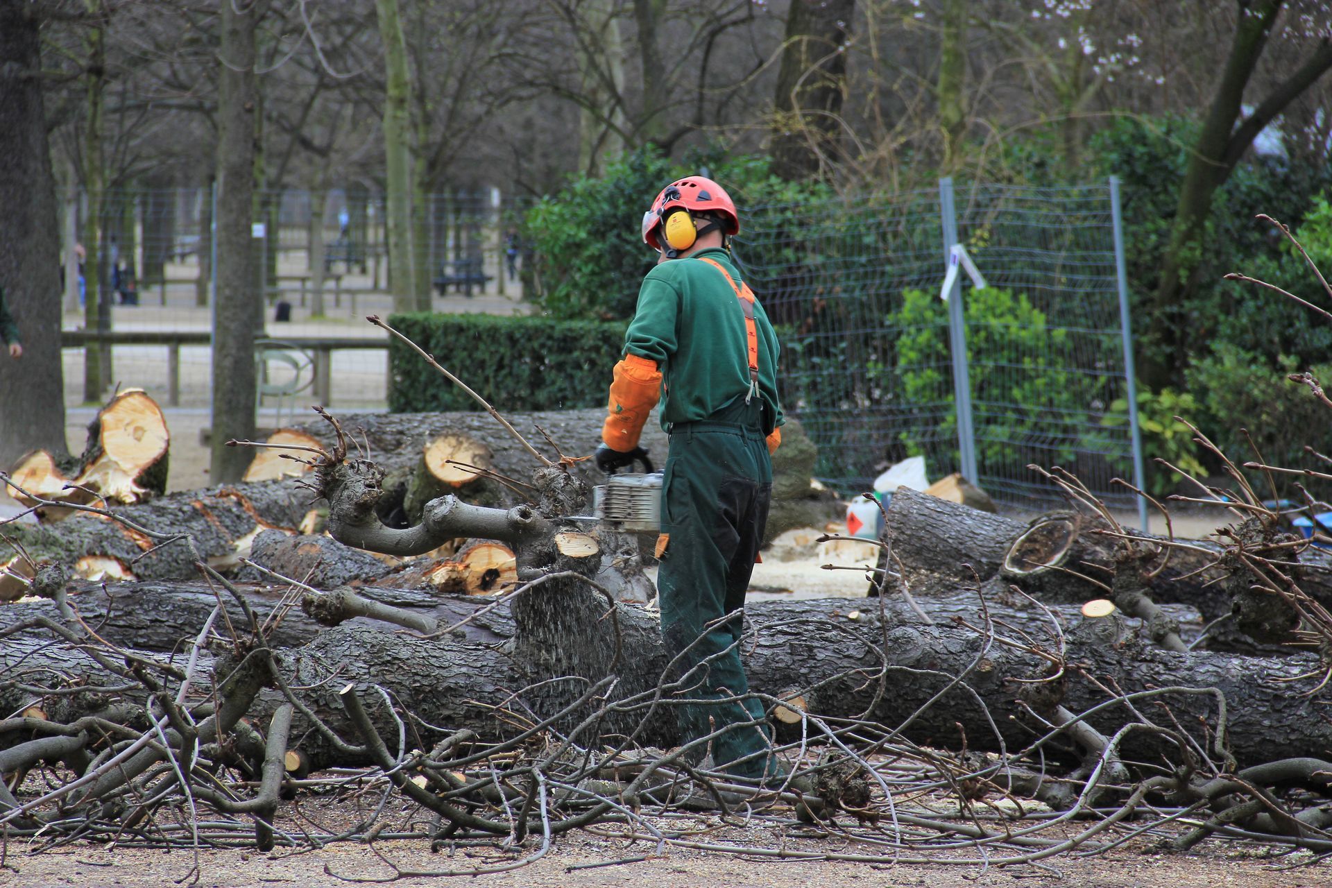 Un arboriste en tenue de protection coupe des troncs dans un parc ; des troncs d’arbres et des branches tombés sont éparpillés.