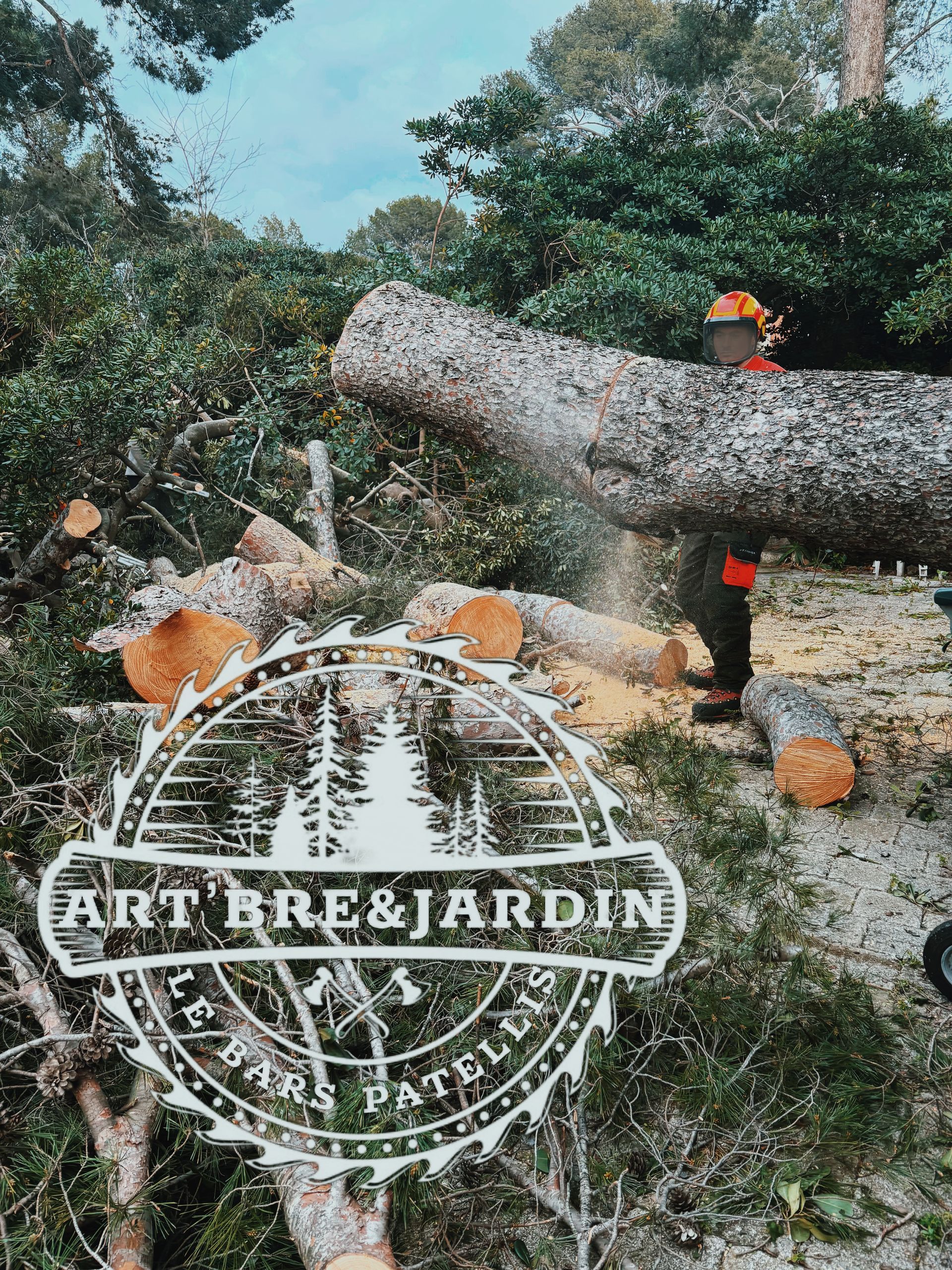 Un homme coupe un arbre tombé à la tronçonneuse.