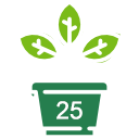 Pot de fleurs avec 25 ans inscrit