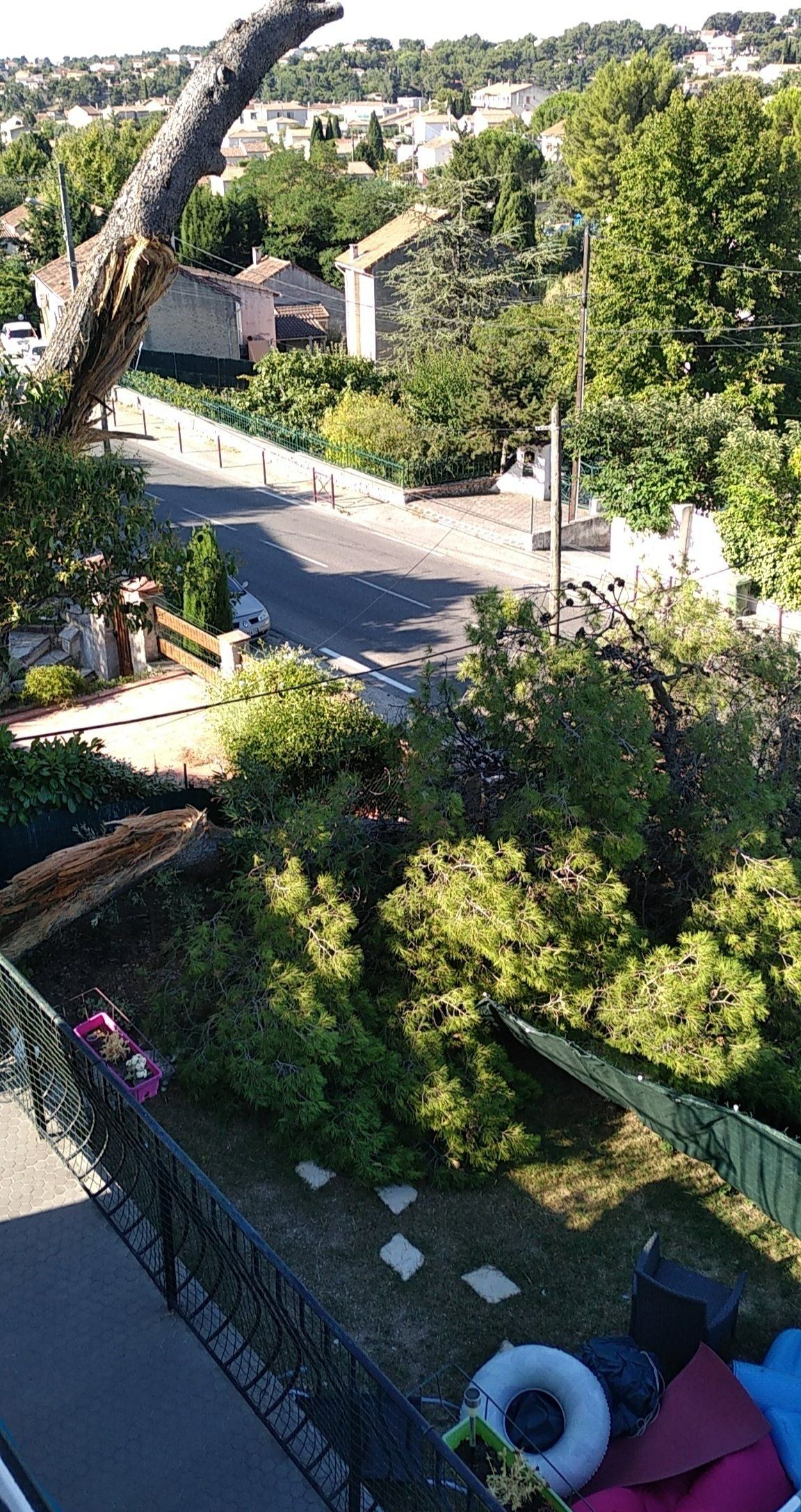Travaux d'élagage à Marseille