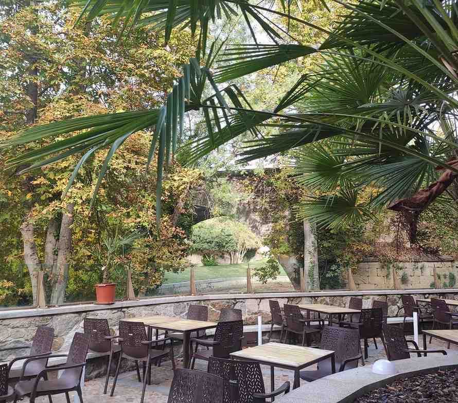Terraza exterior de restaurante con mesas y sillas dispuestas bajo palmeras y árboles otoñales, junto a un muro de piedra.