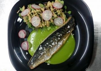 Filete de pescado a la plancha sobre una cama de puré verde intenso con ensalada de microbrotes de rábano en un plato negro.