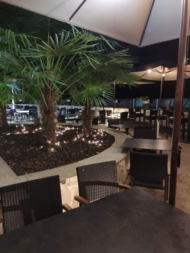 Terraza exterior con mesas oscuras, sillas y palmeras decoradas con guirnaldas de luces.