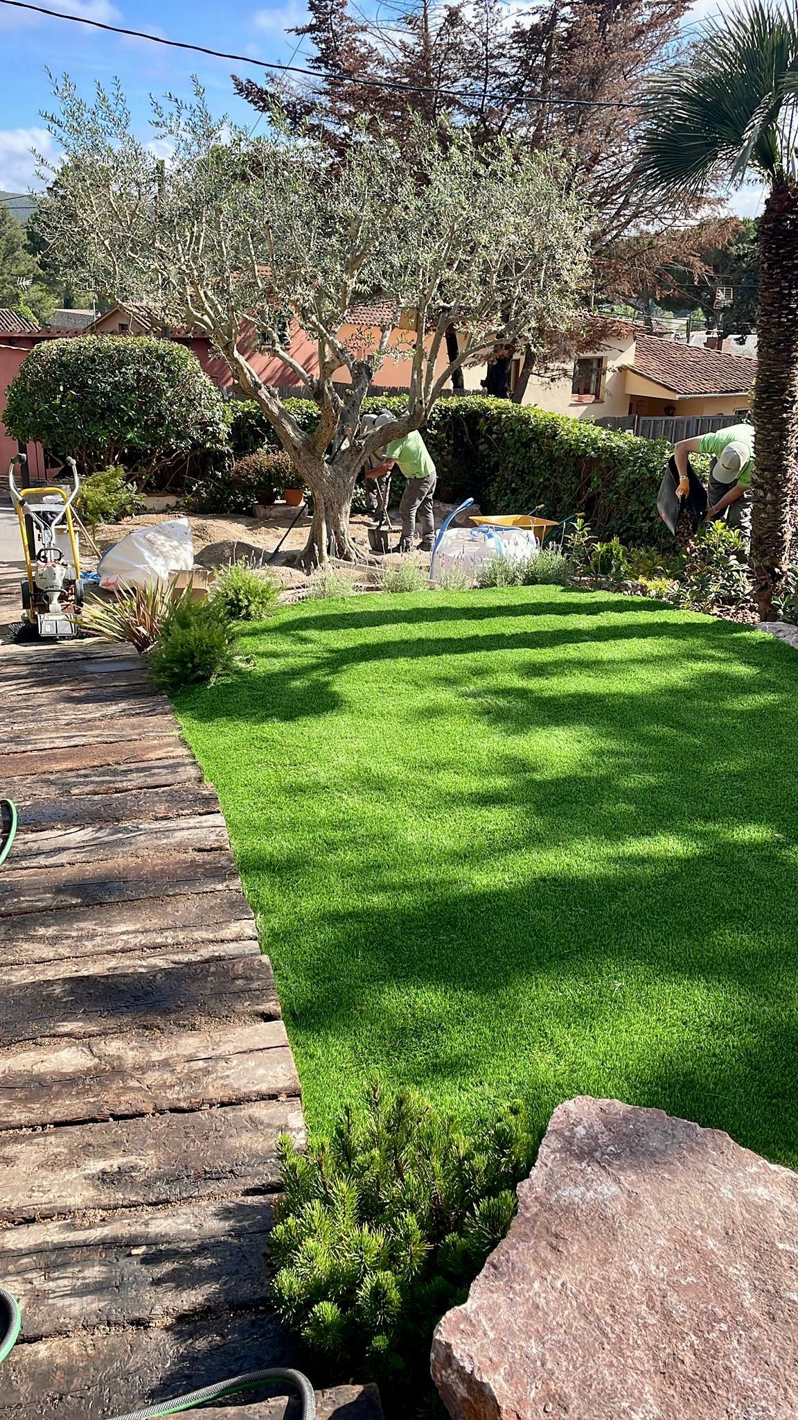 Un exuberante césped verde con un camino de ladrillos y un árbol al fondo.