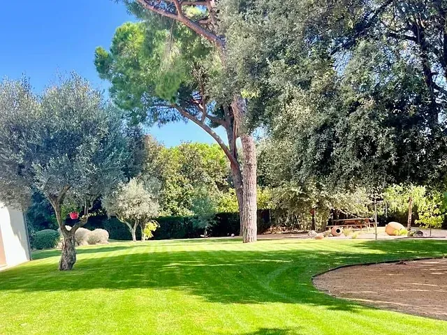 Un exuberante césped verde con árboles al fondo