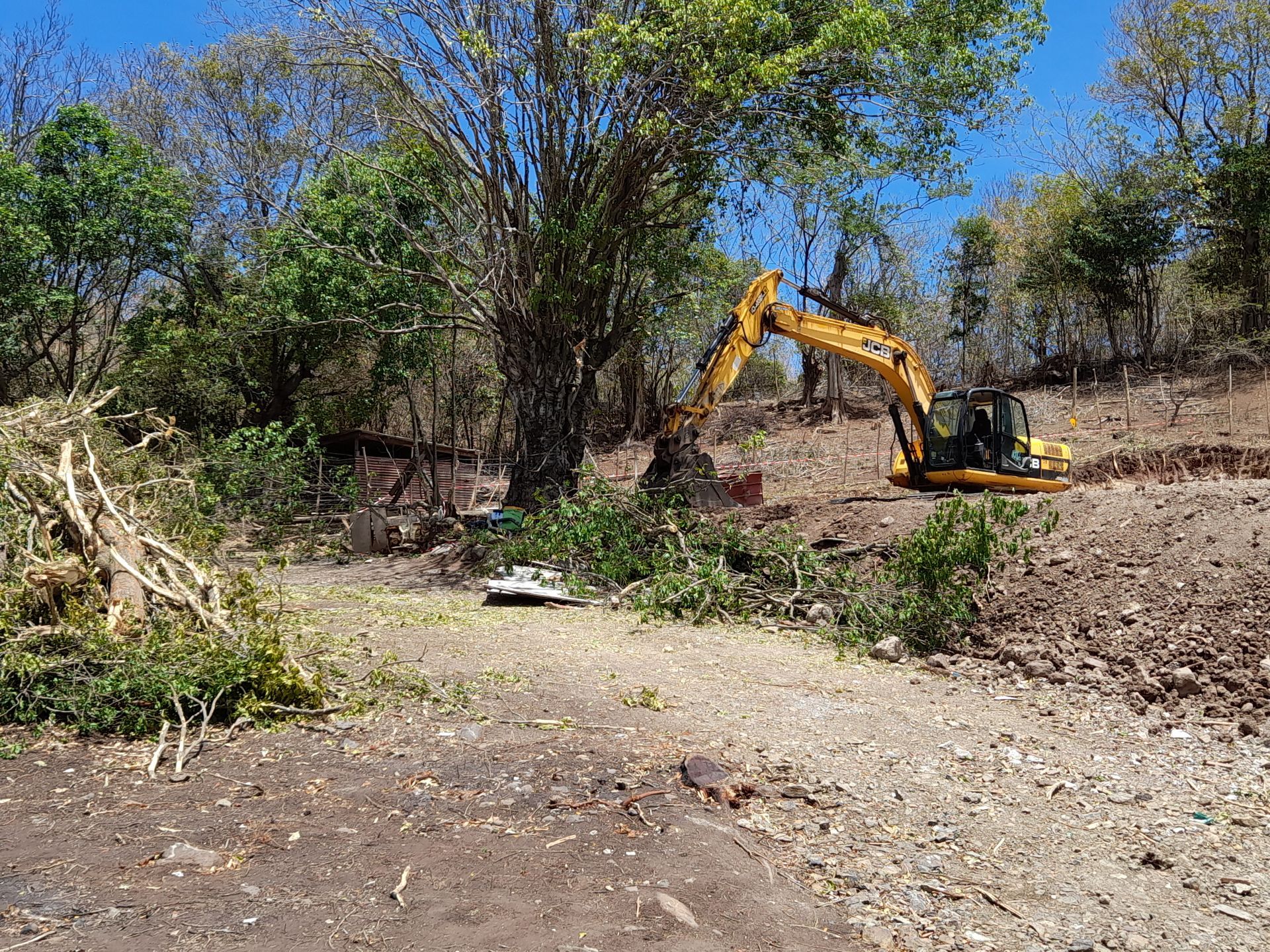 Une pelleteuse jaune sur une clairière de terre près des arbres, sous un ciel bleu.