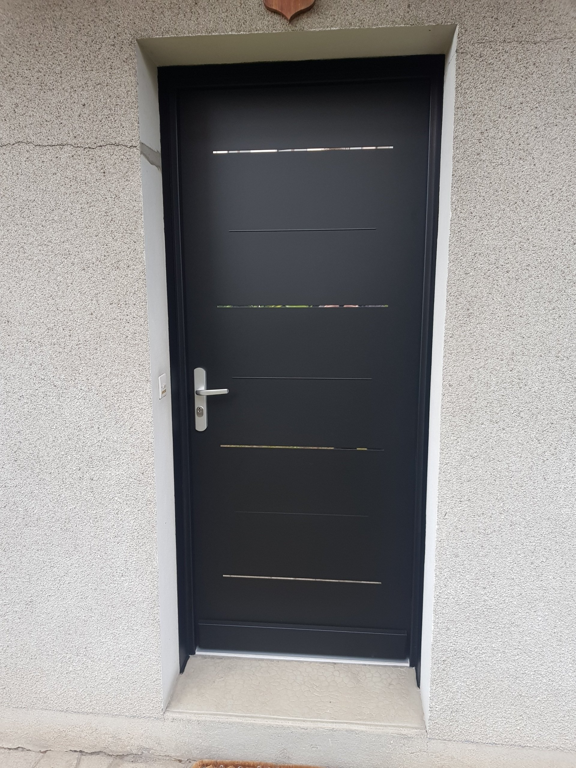 Porte-blindée Stylea Fichet avec insert inox à Ambilly