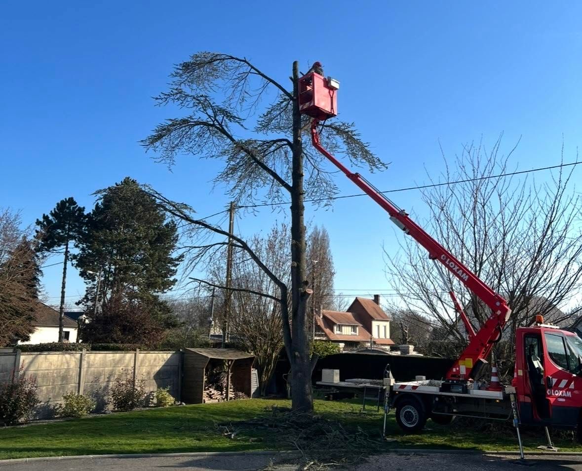 Un camion nacelle rouge élague un grand arbre dans un jardin de banlieue sous un ciel bleu dégagé.