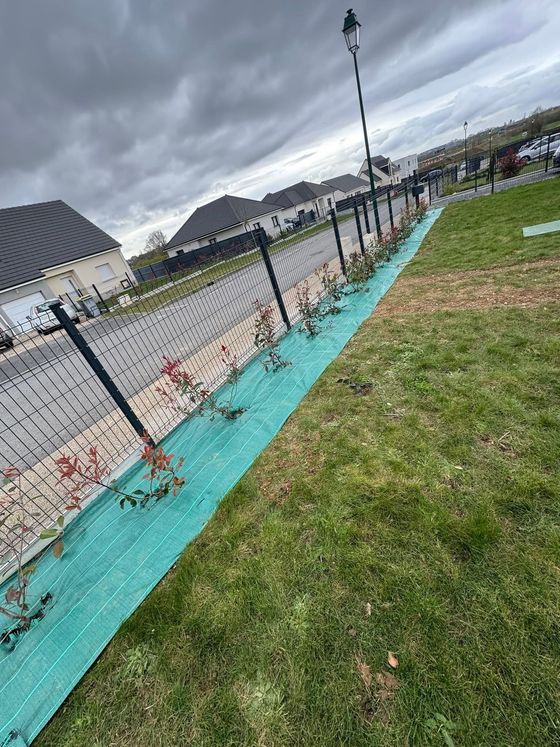 Vue inclinée d'une allée paysagée bordée de turquoise, avec une clôture, des lampadaires et une pelouse sous un ciel nuageux.