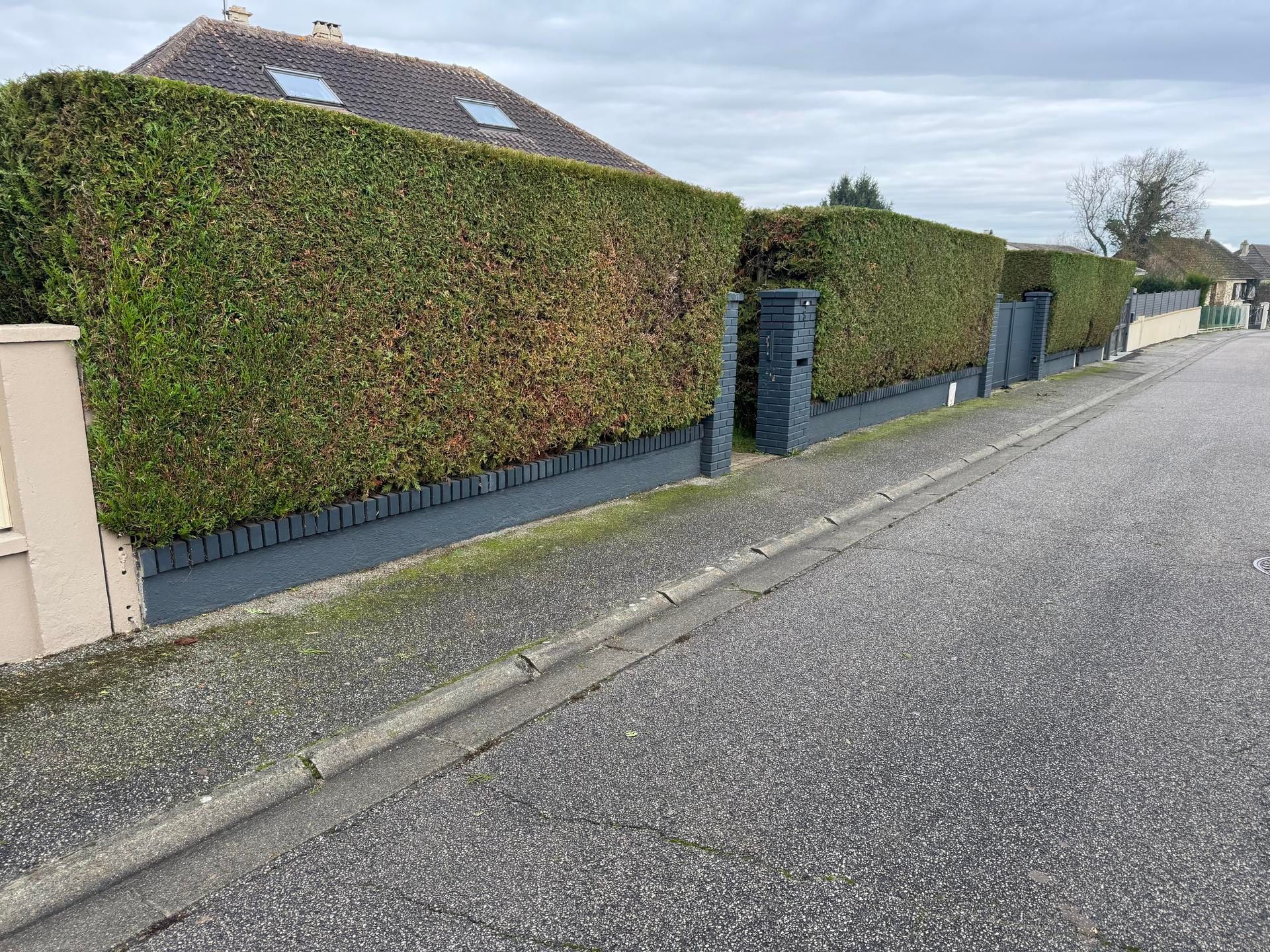 Mur d'enceinte bordé d'une haie et de piliers en briques bleues, le long d'une rue résidentielle tranquille sous un ciel nuageux.