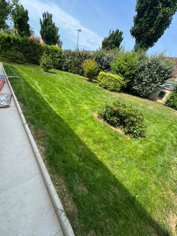 Jardin paysager ensoleillé avec pelouse verte en pente, arbustes et allée pavée longeant un bâtiment