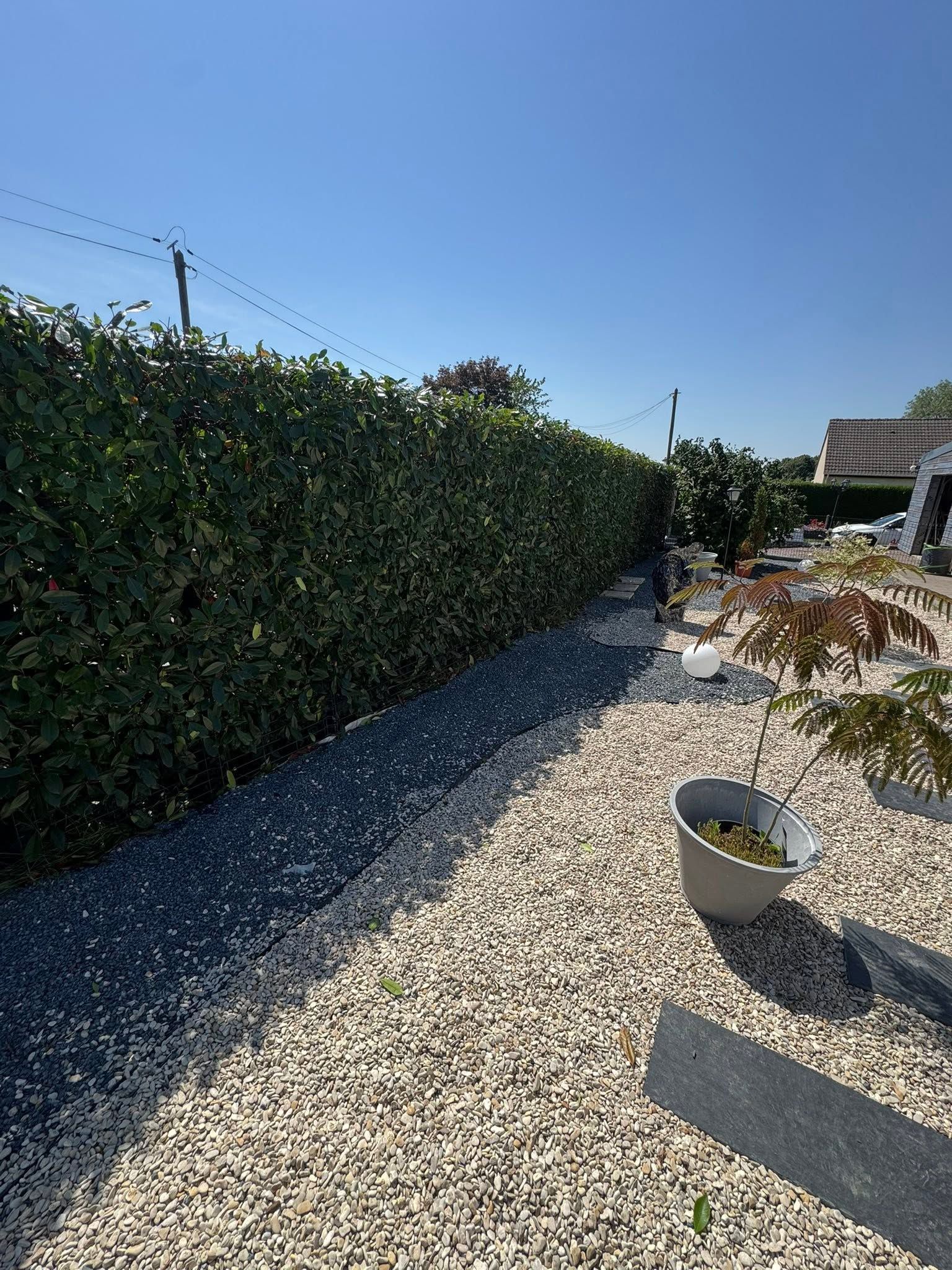 Allée de gravier ensoleillée longeant de hautes haies vertes et des plantes en pot dans un jardin