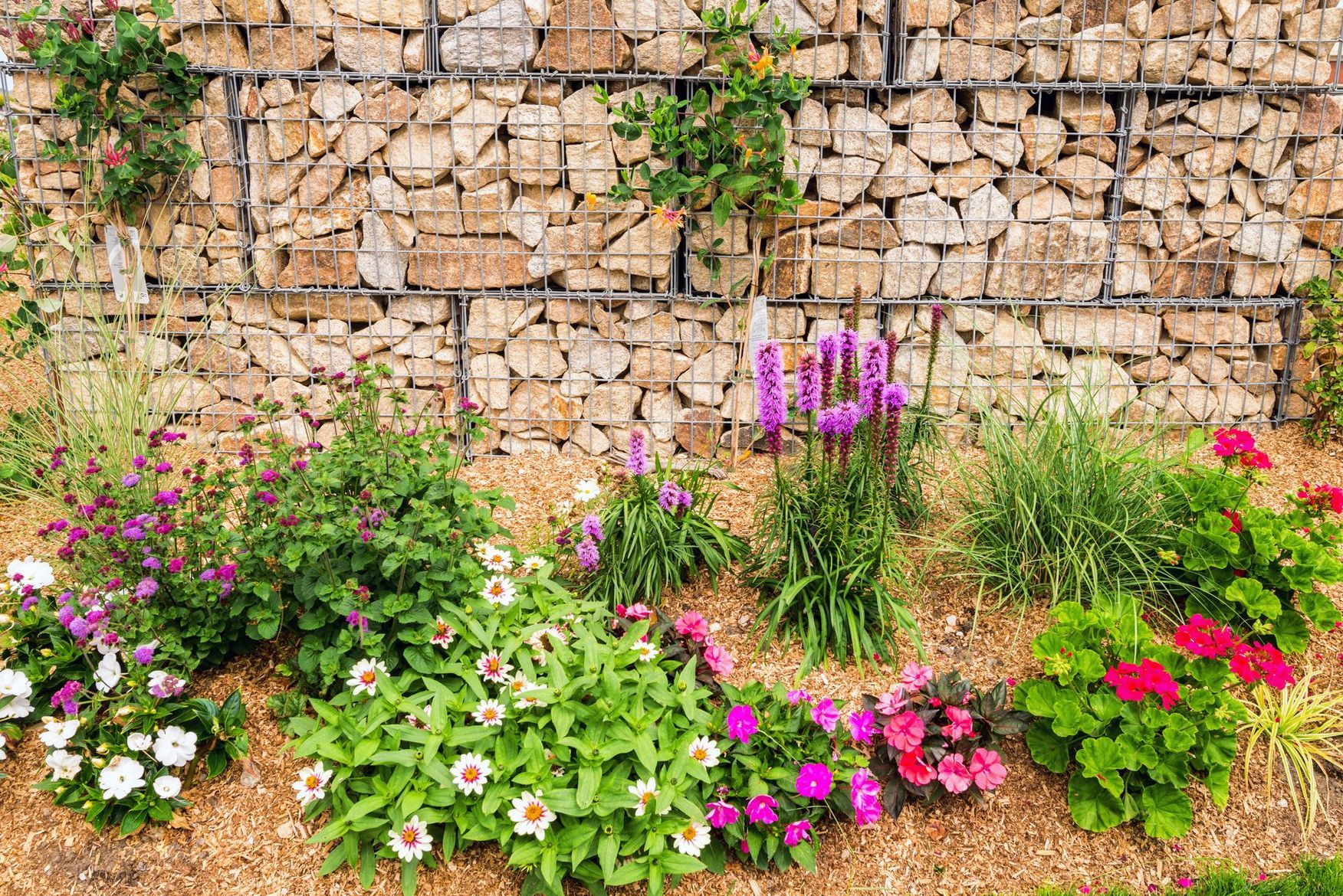 Massif de jardin fleuri aux fleurs roses, blanches et violettes devant un mur de pierre.