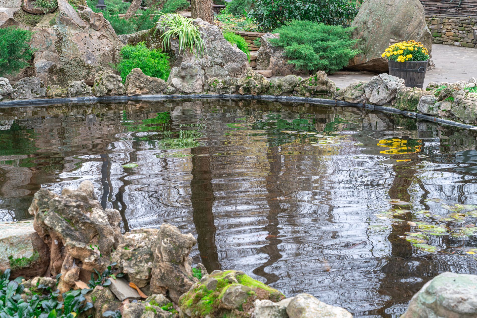 Un petit bassin de jardin avec des rochers, des reflets et des fleurs jaunes sur les bords.
