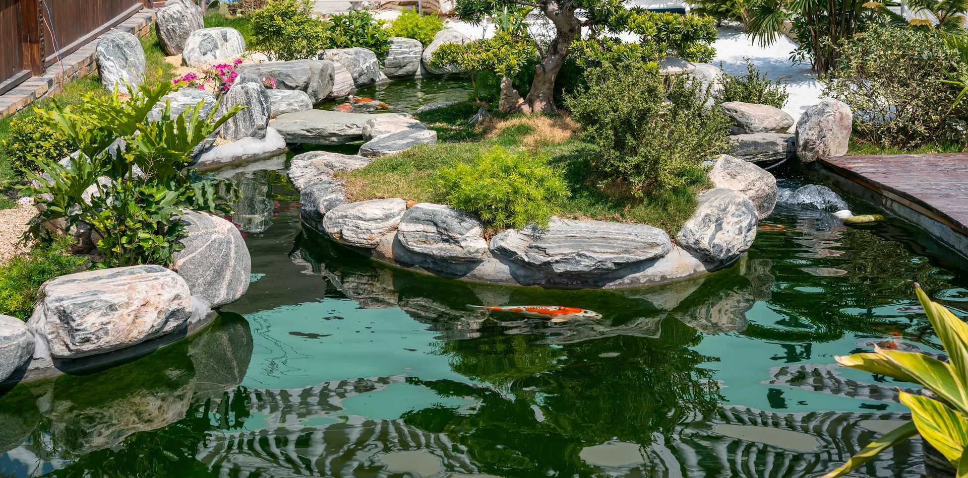 Bassin de rocaille avec nénuphars, grosses pierres et plantes fleuries le long de la rive
