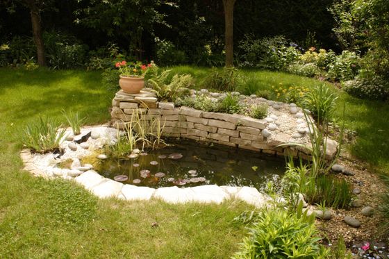 Petit bassin de jardin en pierre aux eaux calmes, agrémenté de rochers blancs et d'une plante en pot, dans une cour verdoyante et luxuriante.