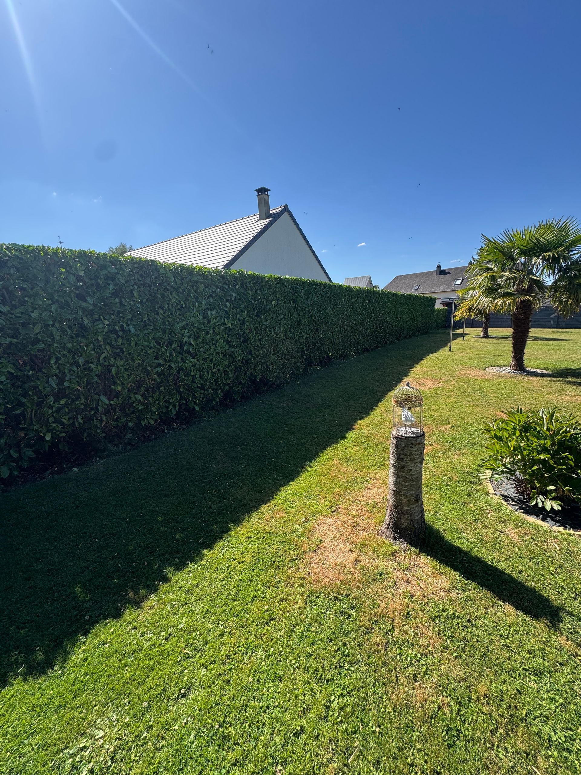 Terrasse arrière avec sol en gravier, haie et maisons voisines sous un ciel nuageux