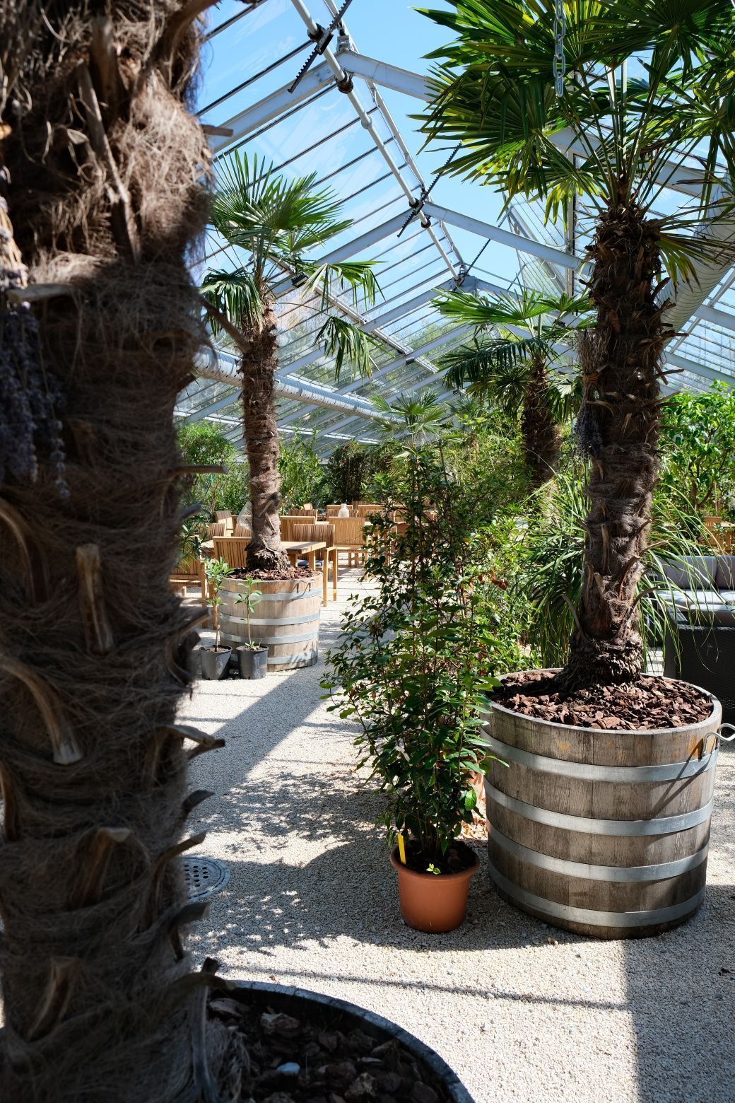 Treibhaus Event Lokation - Herboland GmbH in Horw