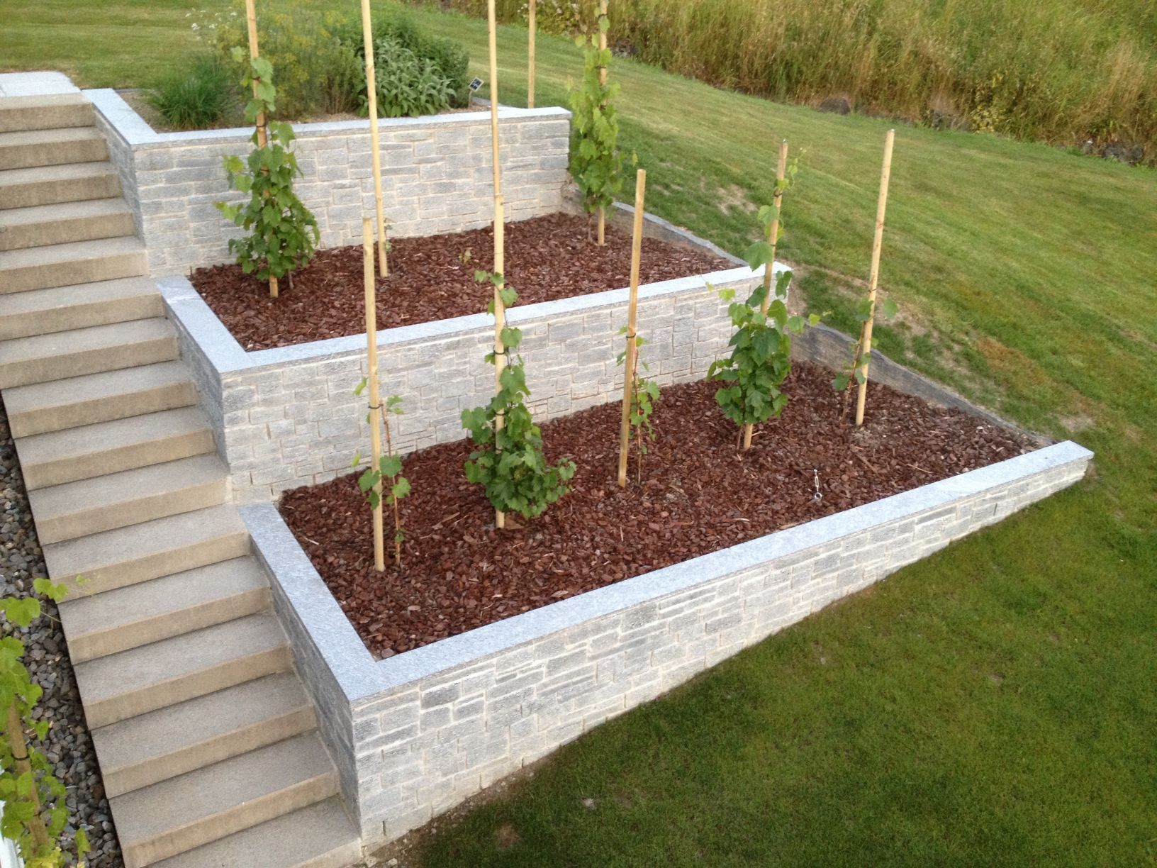 Gärtner - Herboland GmbH in Horw