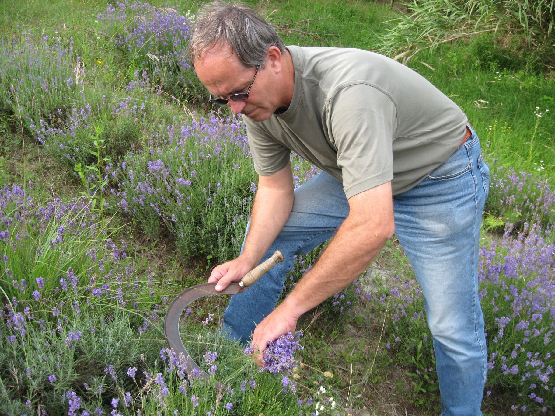 Gärtner - Herboland GmbH in Horw