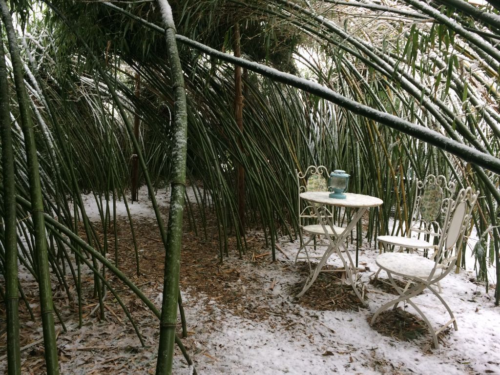 Bambuslandschaft - Herboland GmbH in Horw