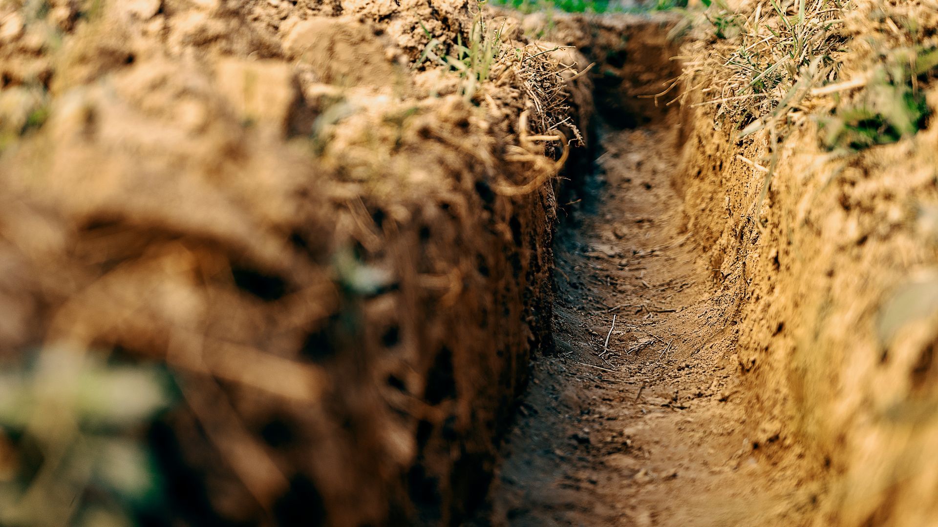 Gros plan sur une étroite tranchée de terre aux parois rugueuses et à la surface herbeuse clairsemée.