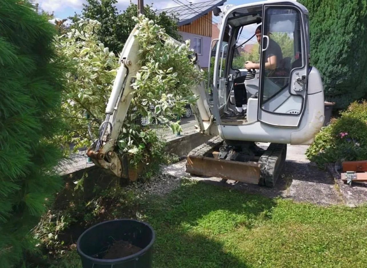 Mini-pelleteuse déracinant un buisson.