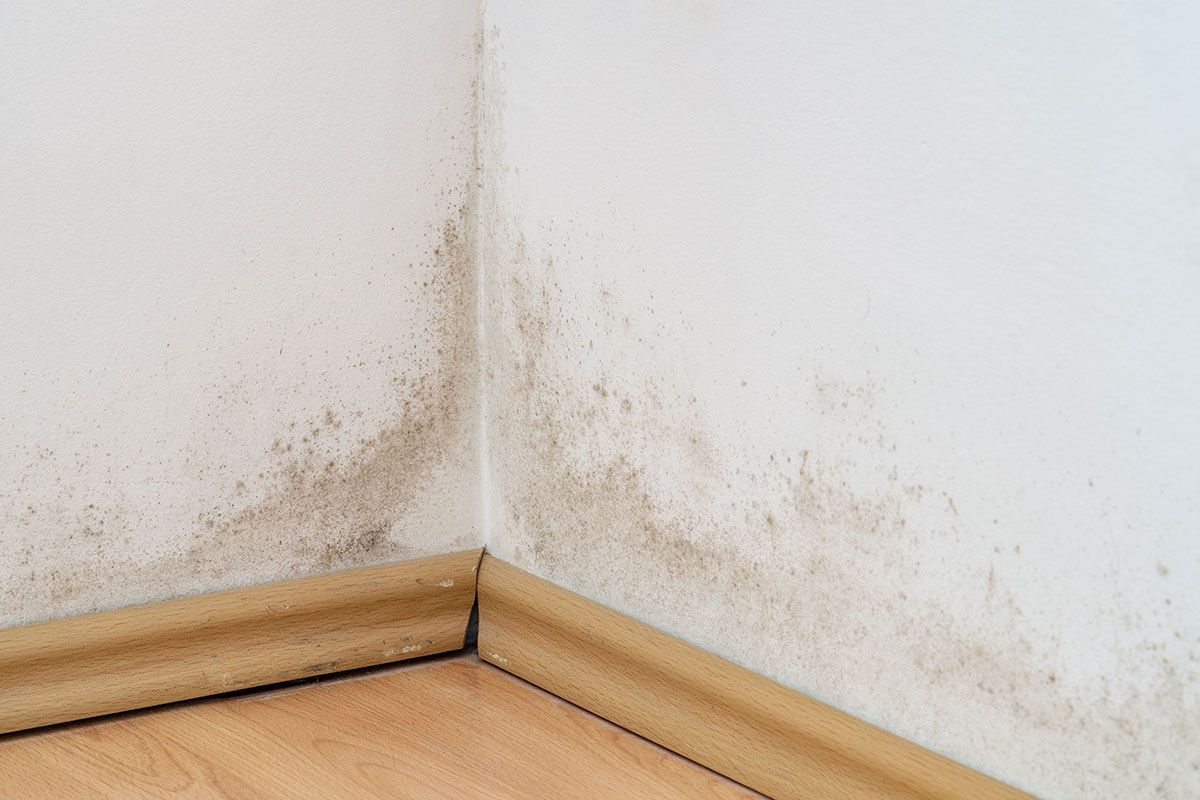 Coin d'un mur blanc attaqué par l'humidité