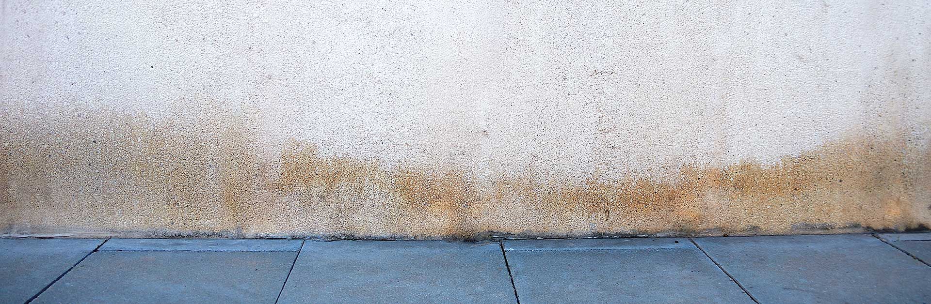 Mur extérieur victime de remontée capillaire 