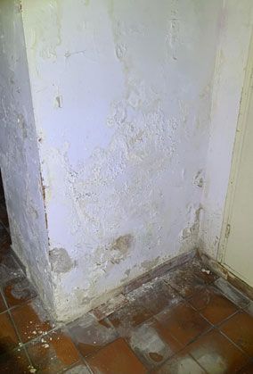 Dégât d'un mur qui a subi l'humidité