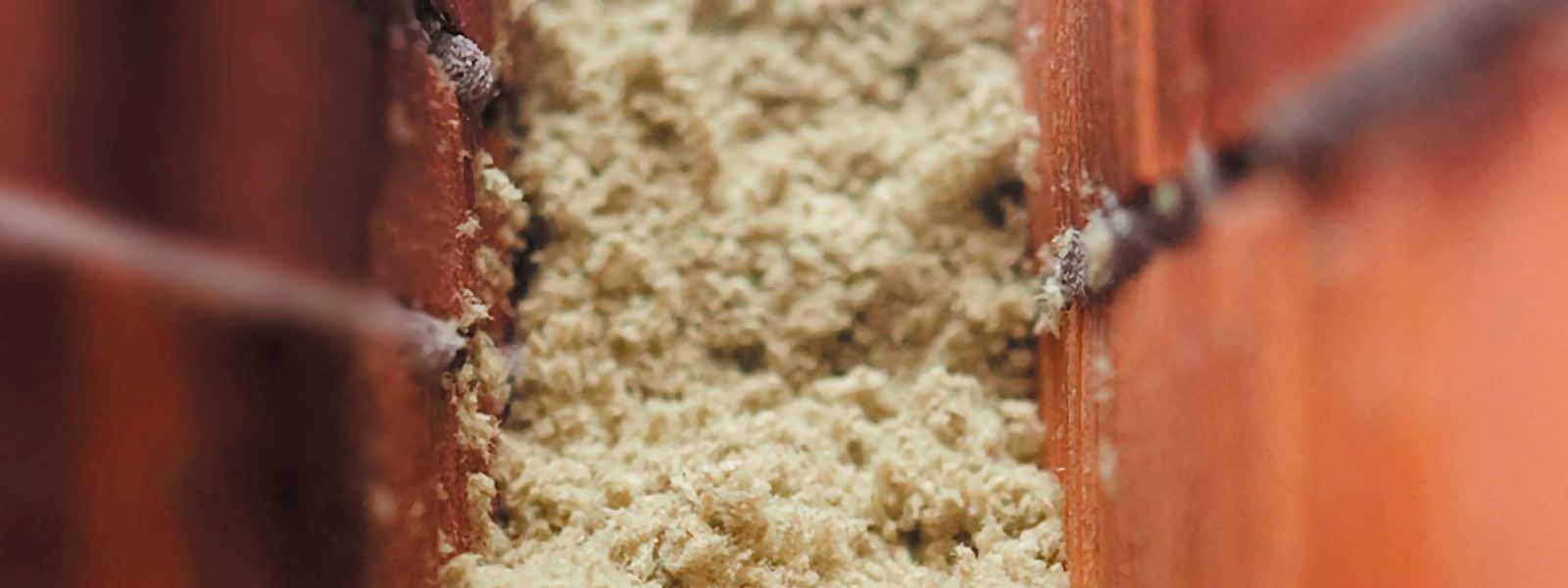 Primer plano de una pared de ladrillos con una sustancia granular de color claro que rellena el espacio entre los ladrillos.