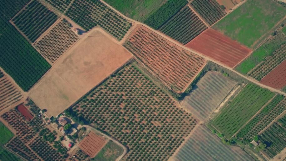 Vista aérea de varias tierras de cultivo, con diferentes cultivos y colores de suelo en patrones geométricos.