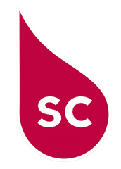 Solutions Cuisine Sàrl logo