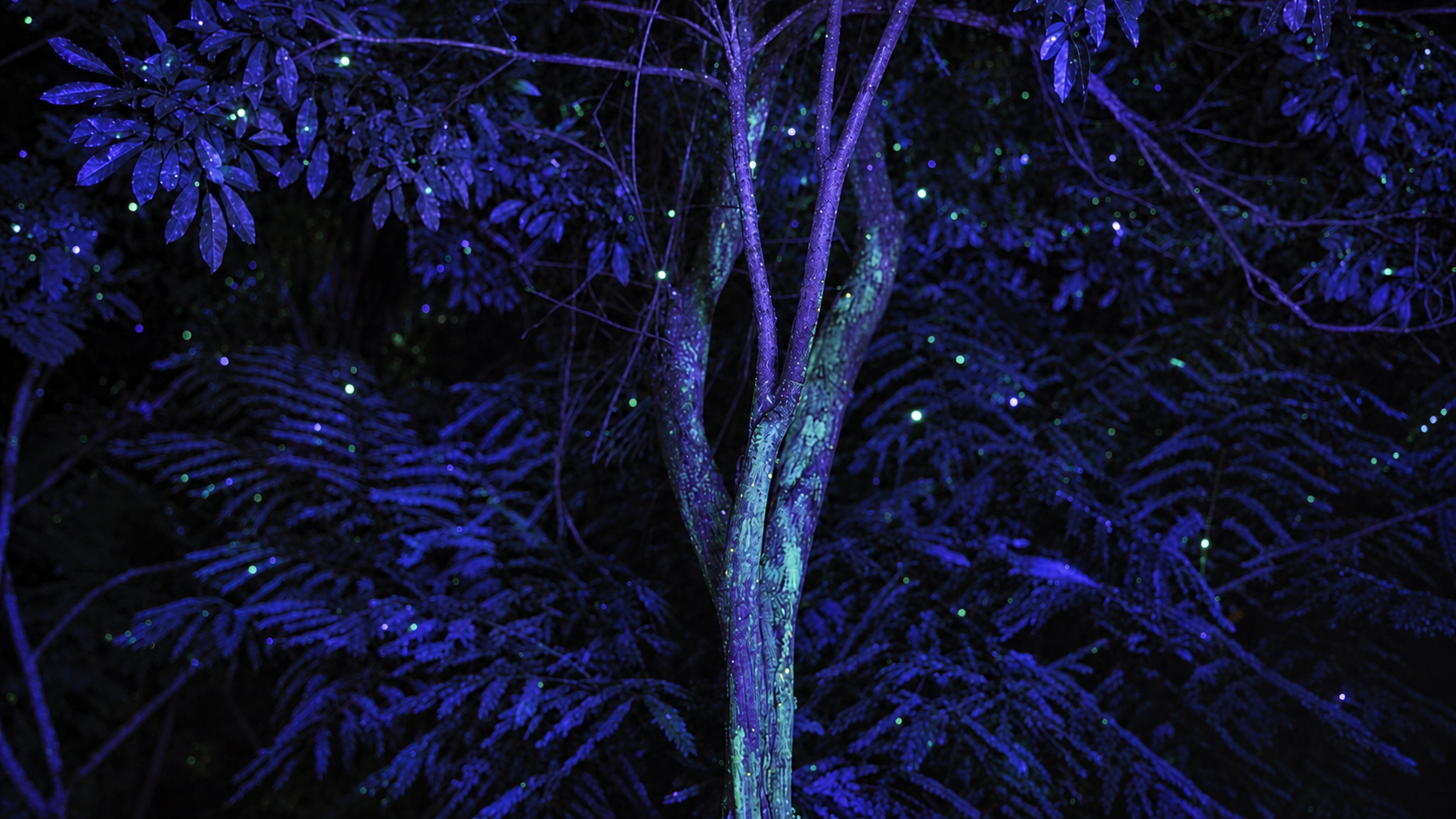 The Tree of Life surrounded by softly sparkling blue and violet forest foliage