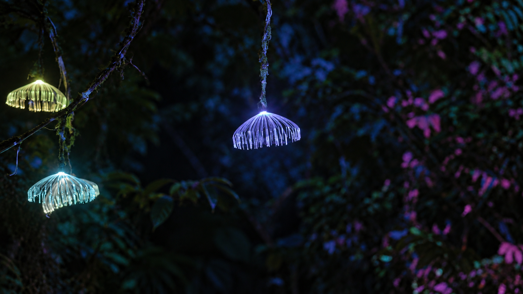 A close view of the glowing forest lights